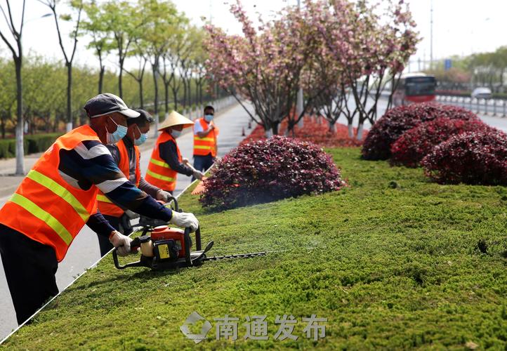 枣阳城市道路两边的绿化归谁管