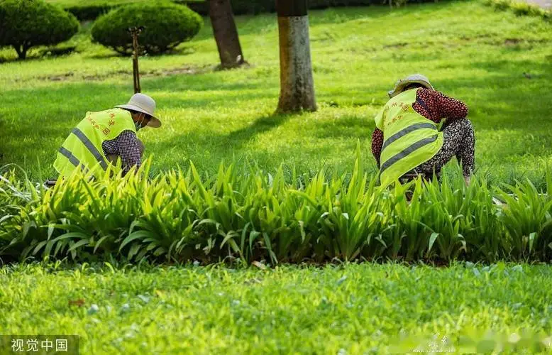 小学城市绿化设计方案模板