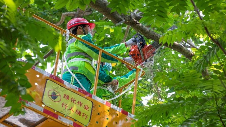 青岛21期绿化工程项目